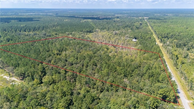 2601 Buck Swamp Rd, Brunswick, GA 31523 - photo 10