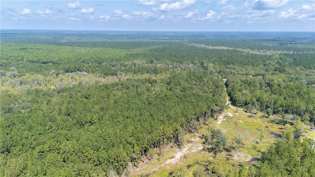2601 Buck Swamp Rd, Brunswick, GA 31523 - photo 17