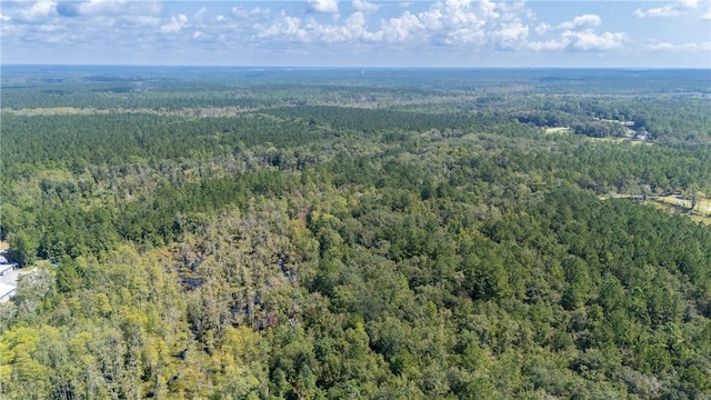 2601 Buck Swamp Rd, Brunswick, GA 31523 - photo 19