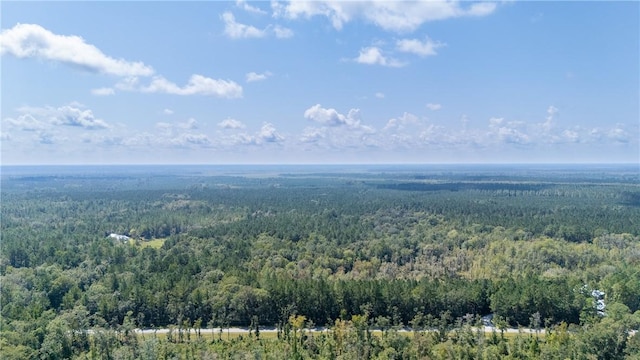 2601 Buck Swamp Rd, Brunswick, GA 31523 - photo 27