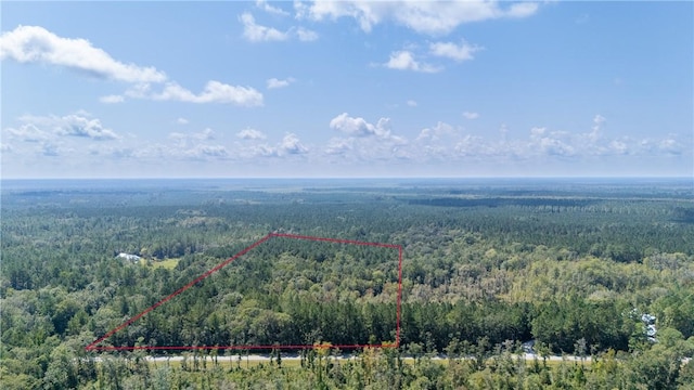 2601 Buck Swamp Rd, Brunswick, GA 31523 - photo 26