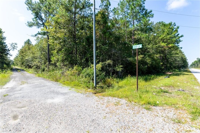 2601 Buck Swamp Rd, Brunswick, GA 31523 - photo 30