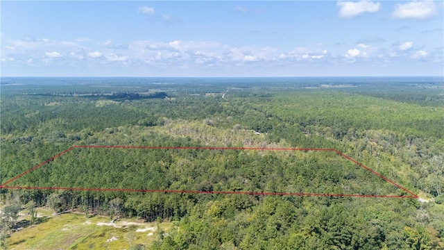 2601 Buck Swamp Rd, Brunswick, GA 31523 - photo 12