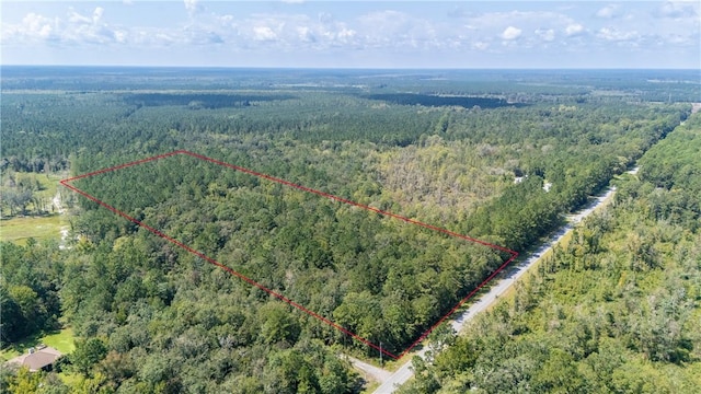 2601 Buck Swamp Rd, Brunswick, GA 31523 - photo 8