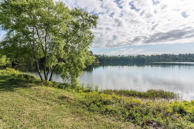 43 Coral Cv, Brunswick, GA 31523 - water view featuring a forest