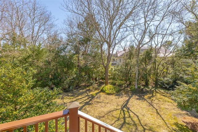 113 Cabretta Island Cir, Brunswick, GA 31520 - view of yard
