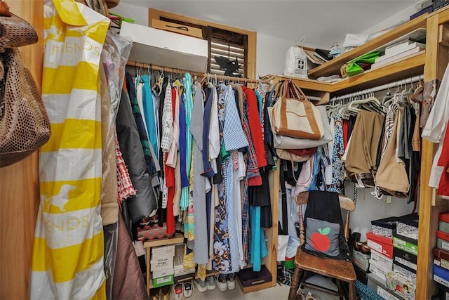 113 Cabretta Island Cir, Brunswick, GA 31520 - view of walk in closet