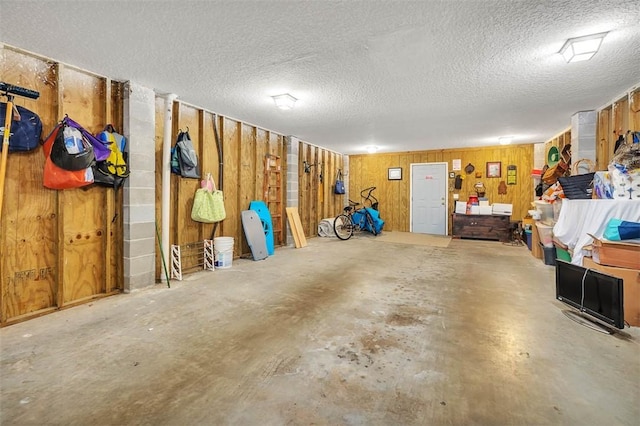 113 Cabretta Island Cir, Brunswick, GA 31520 - garage with wood walls
