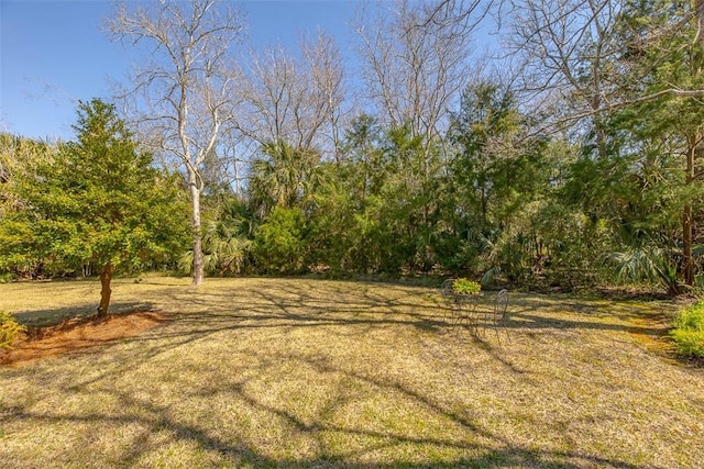 113 Cabretta Island Cir, Brunswick, GA 31520 - view of yard