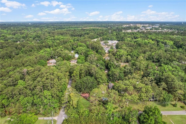 156 Lansing St, Brunswick, GA 31525 - drone / aerial view of a forest