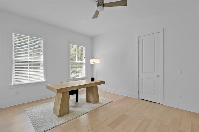 unfurnished office featuring ceiling fan and light hardwood / wood-style flooring