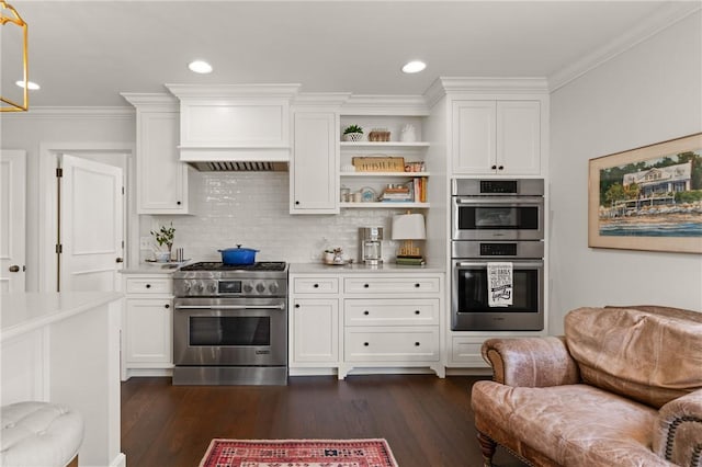 kitchen with white cabinetry, light countertops, dark wood-style flooring, and appliances with stainless steel finishes