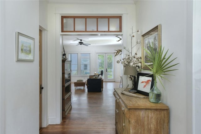 109 Mooring Ln, Saint Marys, GA 31558 - hall with dark wood-style flooring and ornamental molding