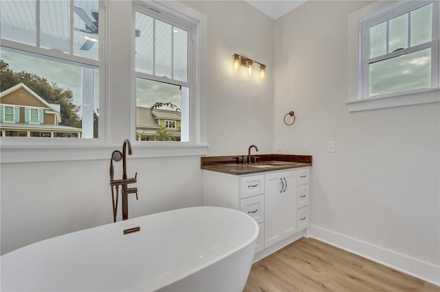 bathroom featuring a washtub, wood-type flooring, and vanity