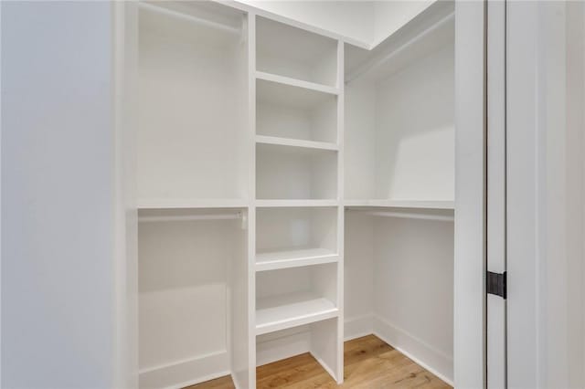 spacious closet featuring wood-type flooring