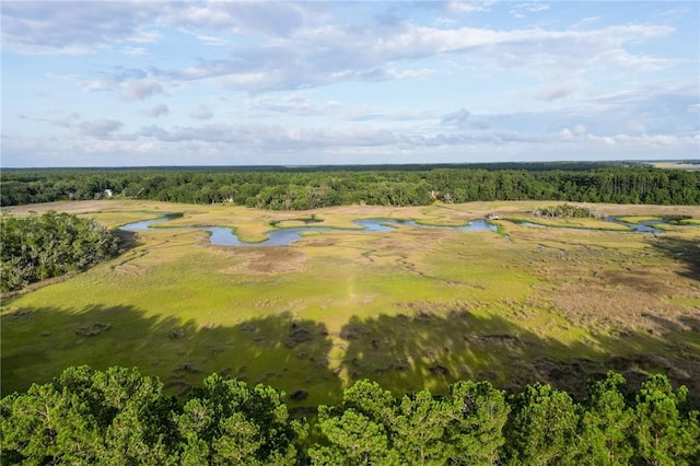 LOT9TRANQUILITY Baker Island Way, Townsend GA, 31331 land for sale