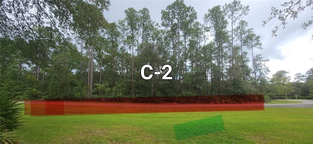 C2 River Place Dr, Waverly, GA 31565 - photo 5
