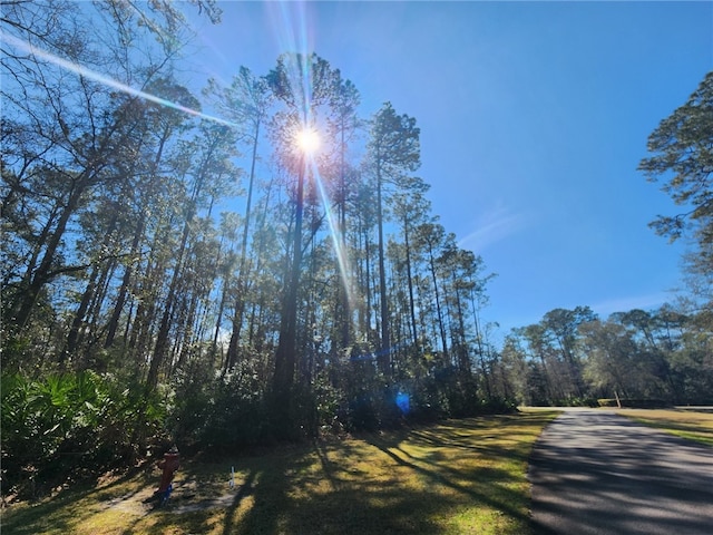 C2 River Place Dr, Waverly, GA 31565 - photo 13
