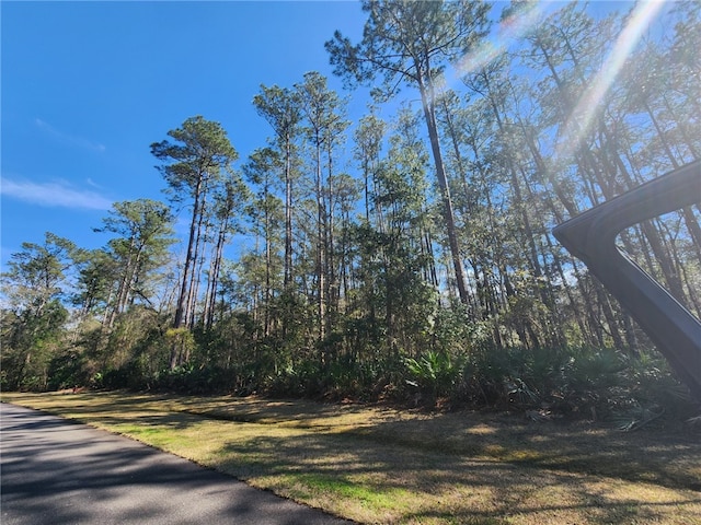 C2 River Place Dr, Waverly GA, 31565 land for sale