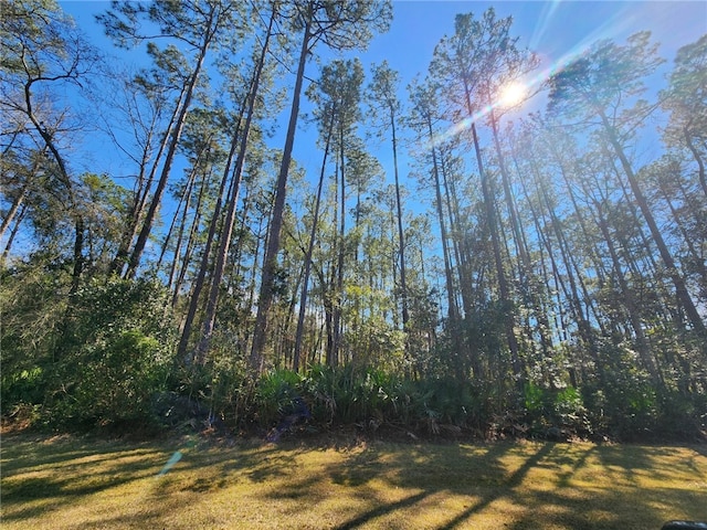 Listing photo 2 for C2 River Place Dr, Waverly GA 31565