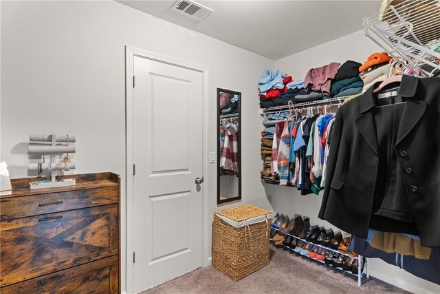 116 Heatherly Way, Brunswick, GA 31523 - spacious closet with carpet
