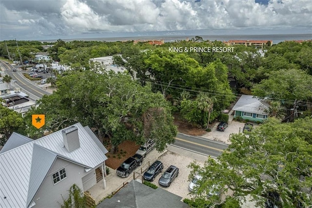 aerial view of a tree filled landscape