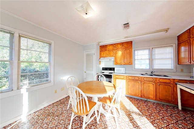 kitchen featuring a healthy amount of sunlight, sink, and electric range oven