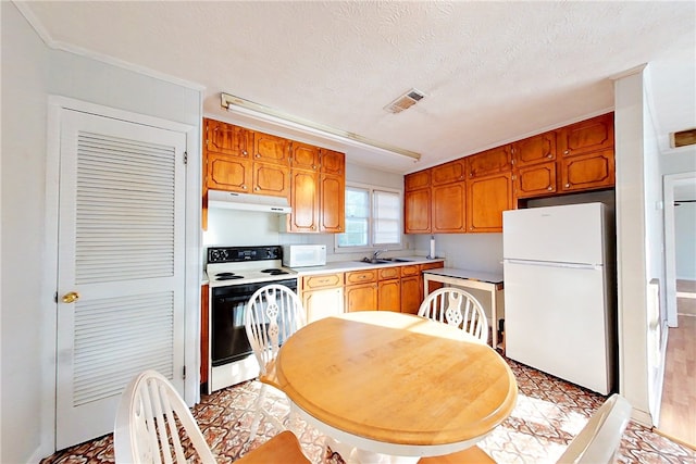 kitchen featuring sink, a textured ceiling, and white appliances