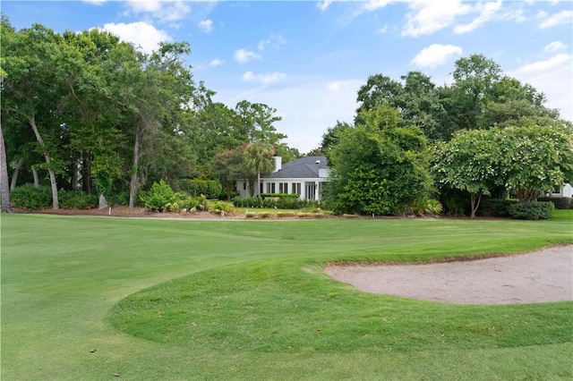 view of property's community with a yard