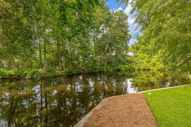 19 Wimbledon Ct, Saint Simons Island, GA 31522 - water view