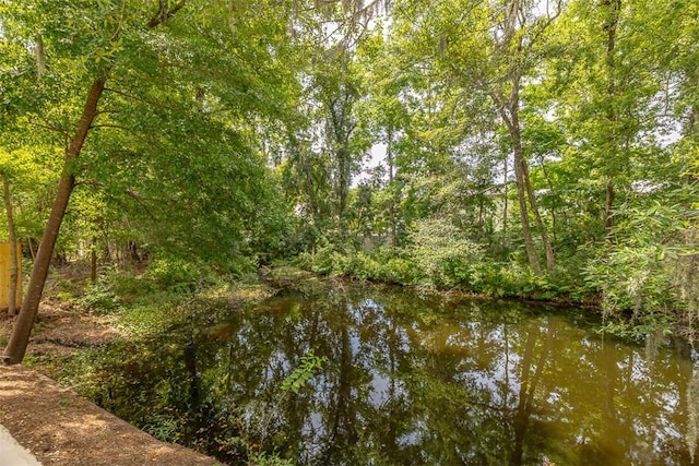 19 Wimbledon Ct, Saint Simons Island, GA 31522 - water view