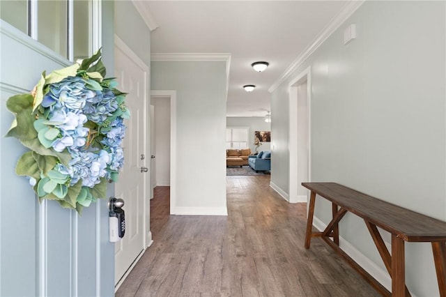 1616 Ashantilly Dr, Darien, GA 31305 - foyer featuring wood finished floors and ornamental molding