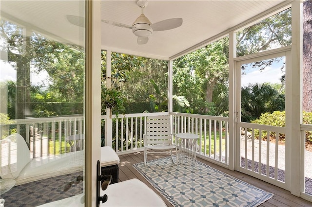 sunroom / solarium featuring a healthy amount of sunlight and ceiling fan