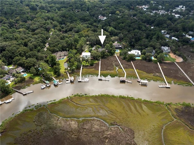 drone / aerial view with a water view and a view of trees