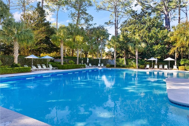 223 Medinah, Saint Simons Island, GA 31522 - photo 54
