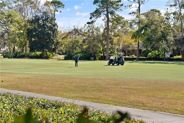 view of property's community featuring a yard