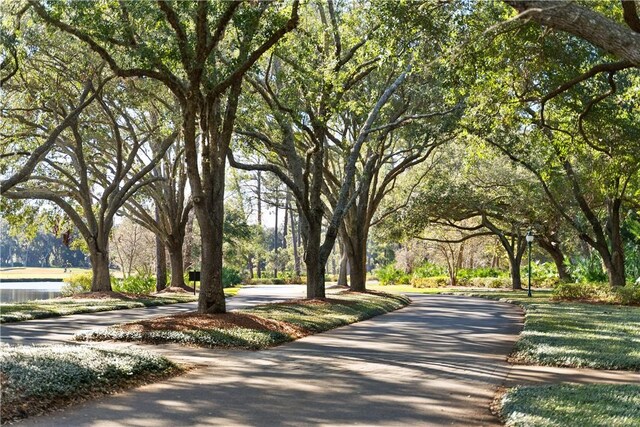 223 Medinah, Saint Simons Island, GA 31522 - photo 49