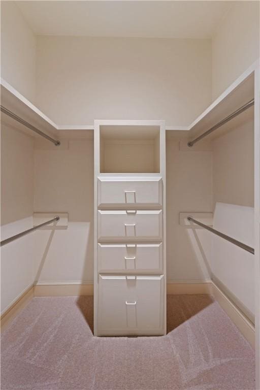 walk in closet with light colored carpet