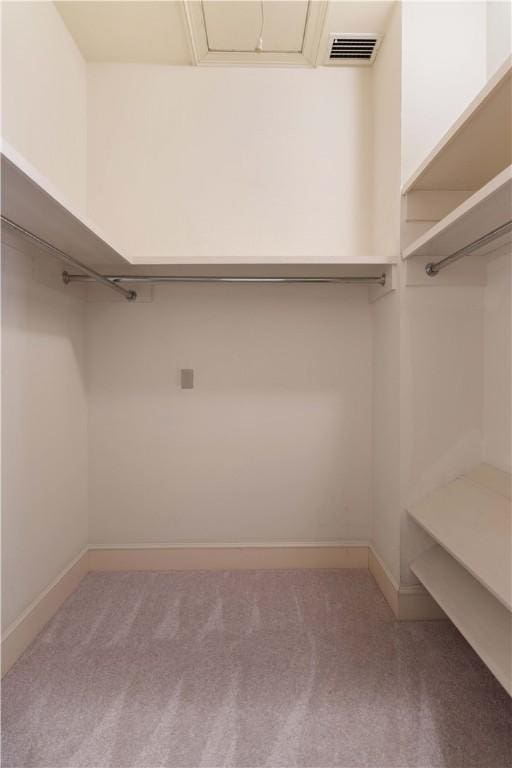 walk in closet featuring carpet flooring