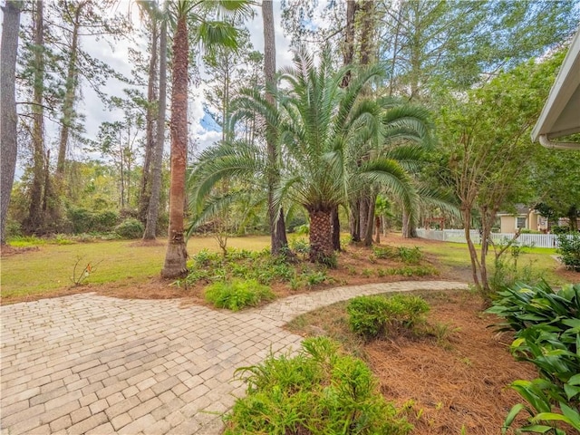 view of yard featuring a patio