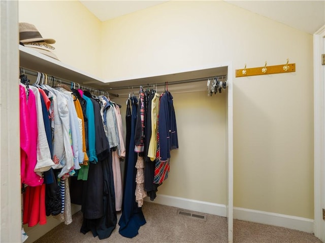 spacious closet featuring carpet