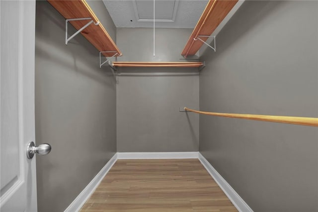 spacious closet featuring light wood-type flooring