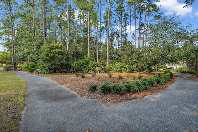 00 Cedar Mill Dr, Saint Marys, GA 31558 - photo 47
