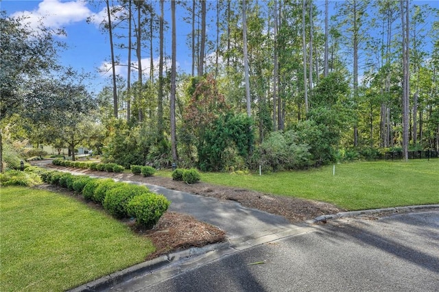 00 Cedar Mill Dr, Saint Marys, GA 31558 - photo 41