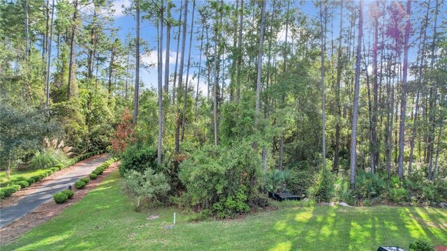 00 Cedar Mill Dr, Saint Marys, GA 31558 - photo 9