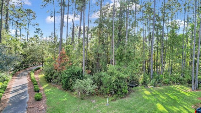 00 Cedar Mill Dr, Saint Marys, GA 31558 - photo 7