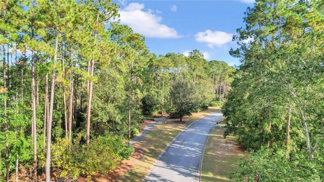00 Cedar Mill Dr, Saint Marys, GA 31558 - photo 38