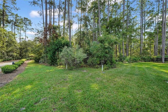 00 Cedar Mill Dr, Saint Marys, GA 31558 - photo 44