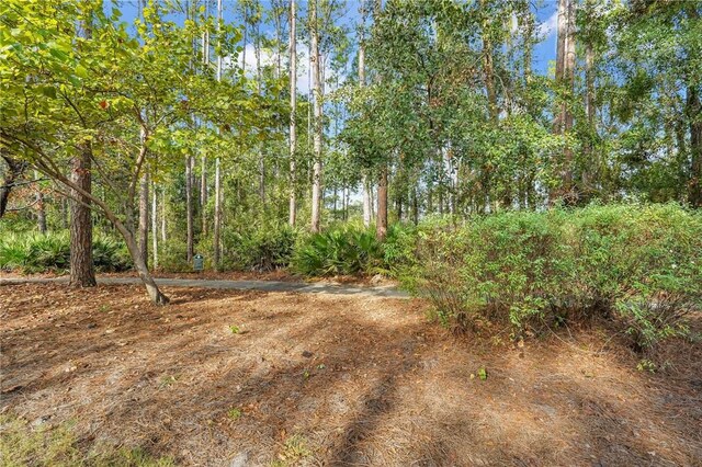 00 Cedar Mill Dr, Saint Marys, GA 31558 - photo 50