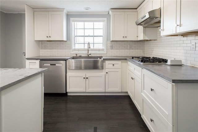 kitchen featuring white cabinets, under cabinet range hood, stainless steel appliances, a sink, and tasteful backsplash